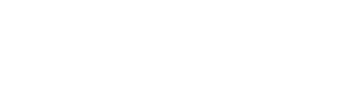 TechsonLabs logo
